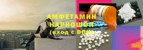 сатива Алзамай