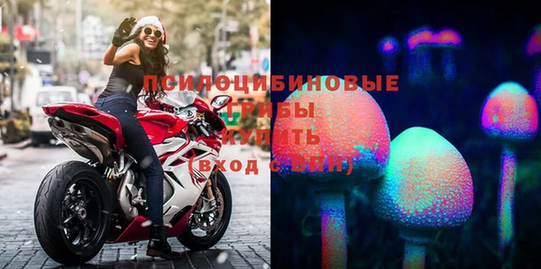 сатива Алзамай