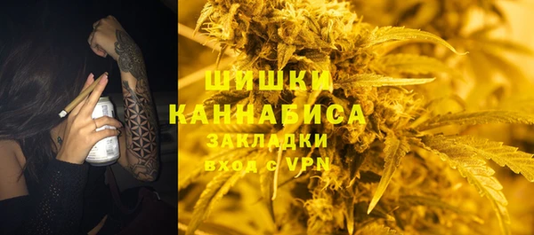 сатива Алзамай