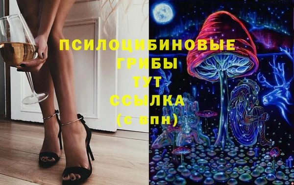 сатива Алзамай