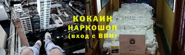 гашик Алексеевка
