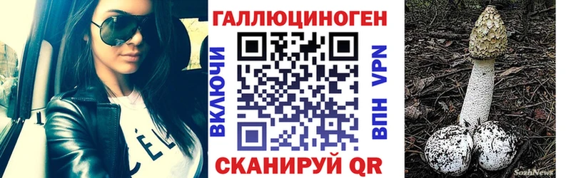 Галлюциногенные грибы MAGIC MUSHROOMS  закладка  Дюртюли 